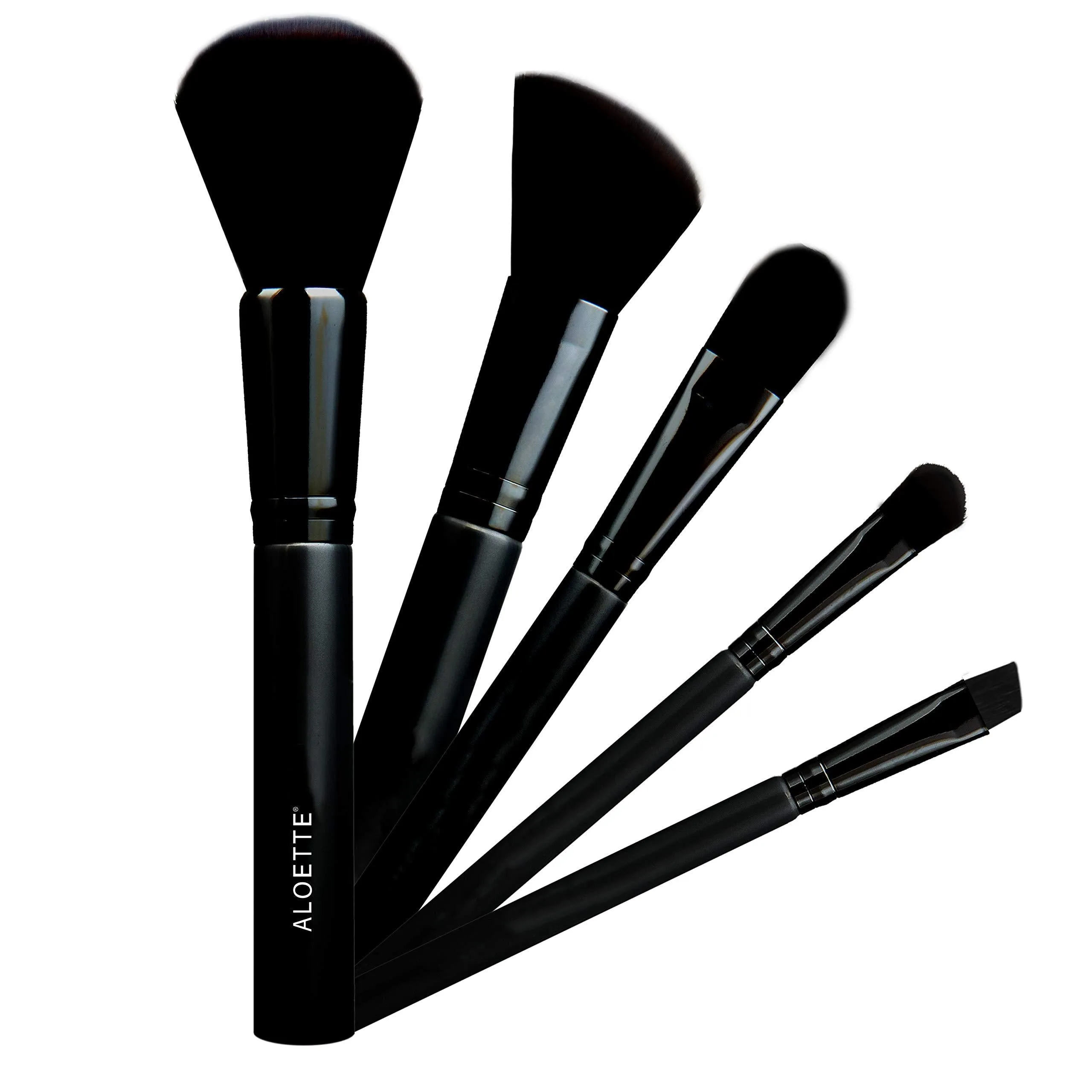 ALOETTE PROFESSIONAL 5-PIECE BRUSH COLLECTION