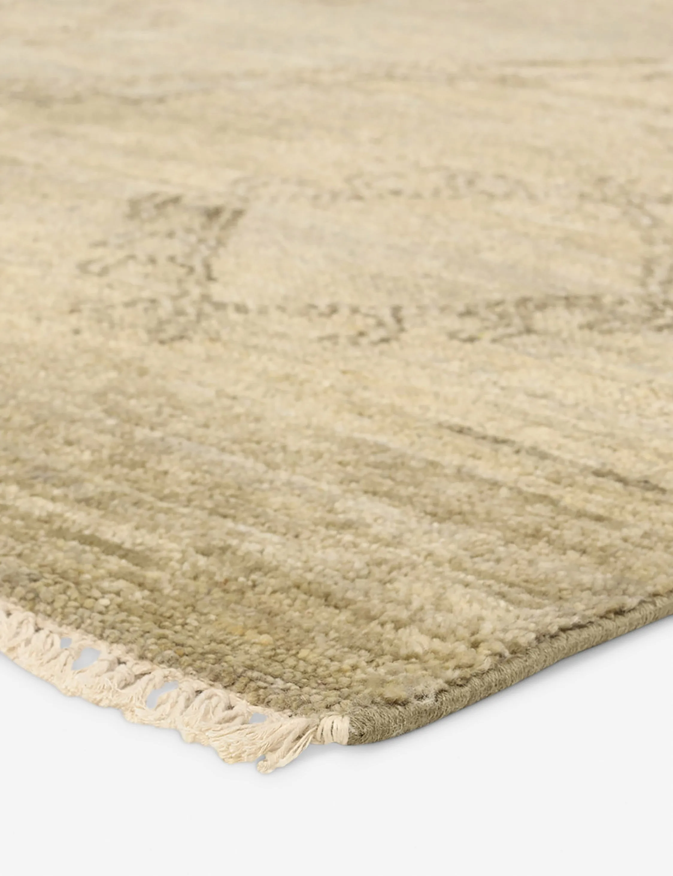 Camiola Hand-Knotted Wool Rug